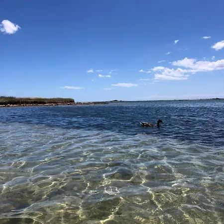 Casa Nonno Pippi * كوبرتينو